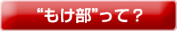 もけ部って？